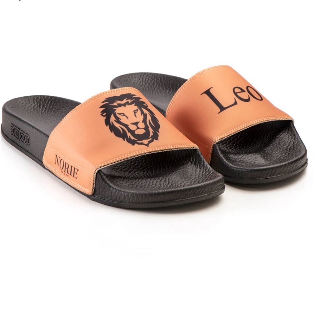 Leo Zodiac Slides